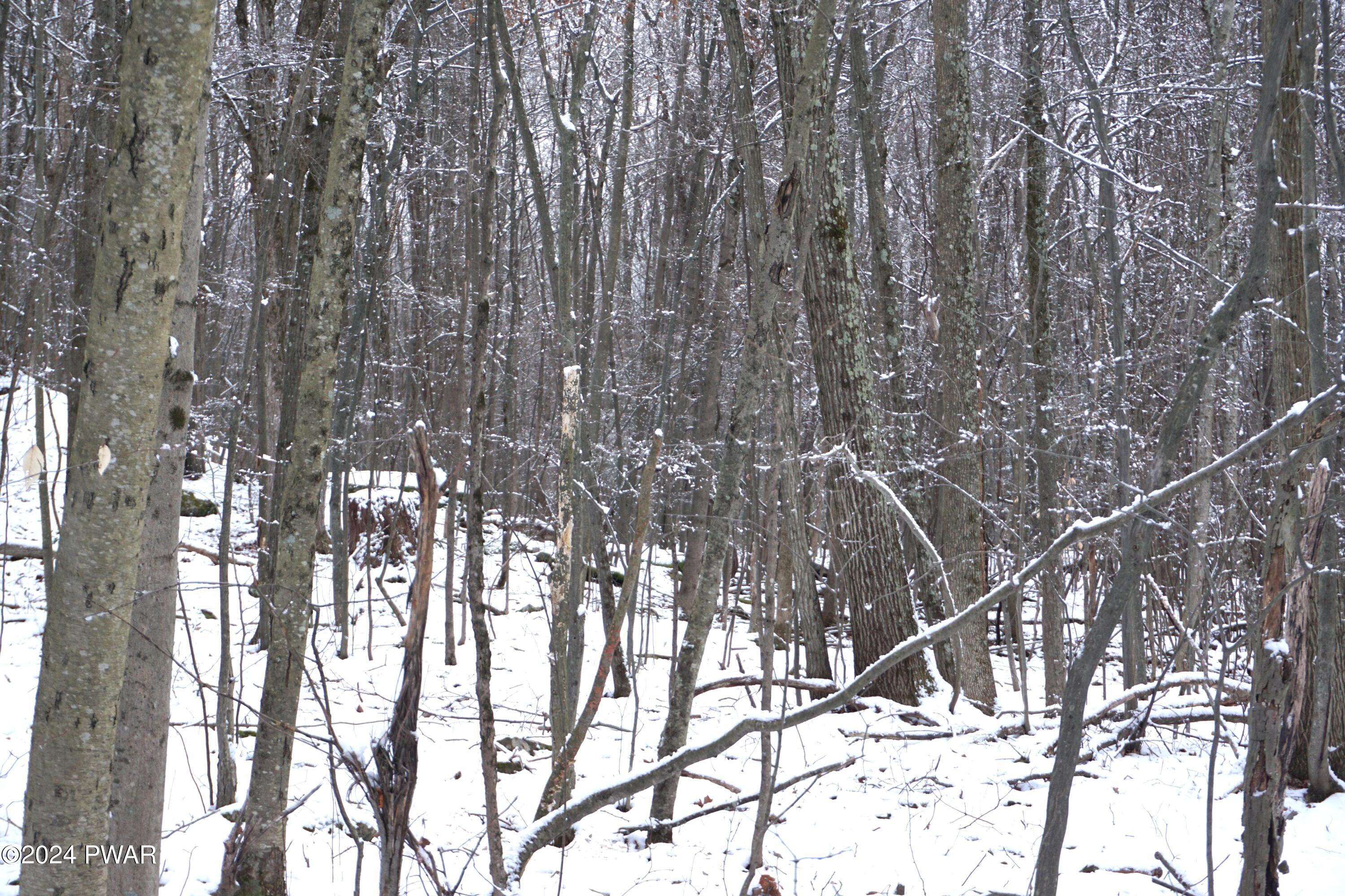 Silkmans Rd Lake Lake Ariel, PA 18436 - Photo 3 of 4