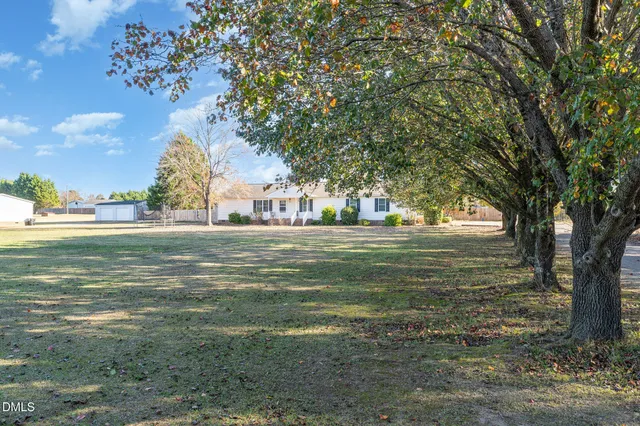 a large green field with lots of trees