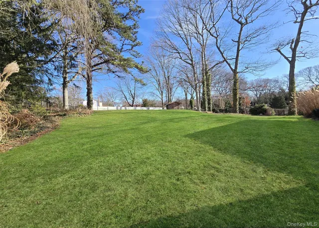 a backyard of apartments with large trees