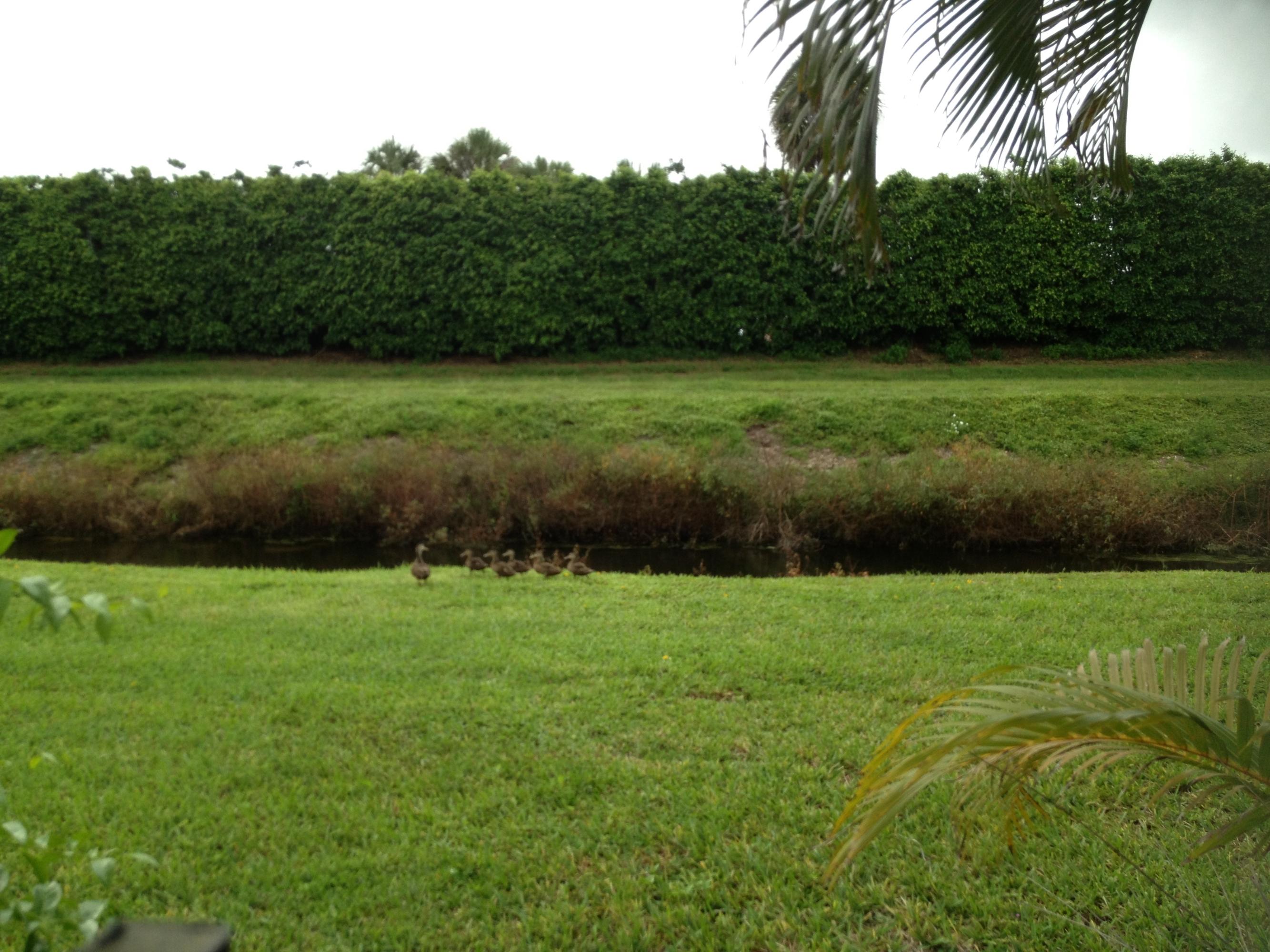 7610 Solimar Circle Boca Raton, FL 33433 - Photo 11 of 20 all pix 552