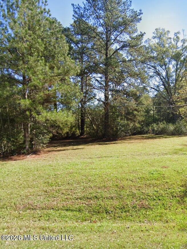Star Road Brandon, MS 39042 - Photo 1 of 3 Lot 3 - Star Road Frontage