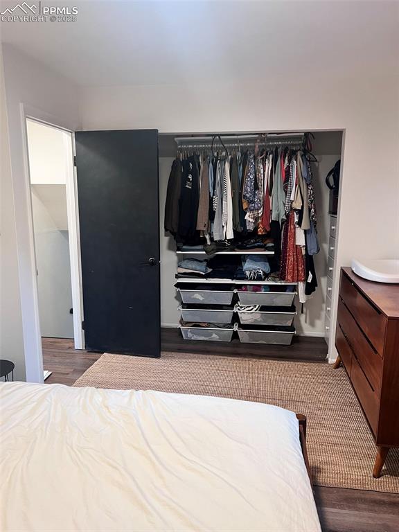 3704 Indianpipe Circle Colorado Springs, CO 80918 - Photo 7 of 12 a view of walk in closet