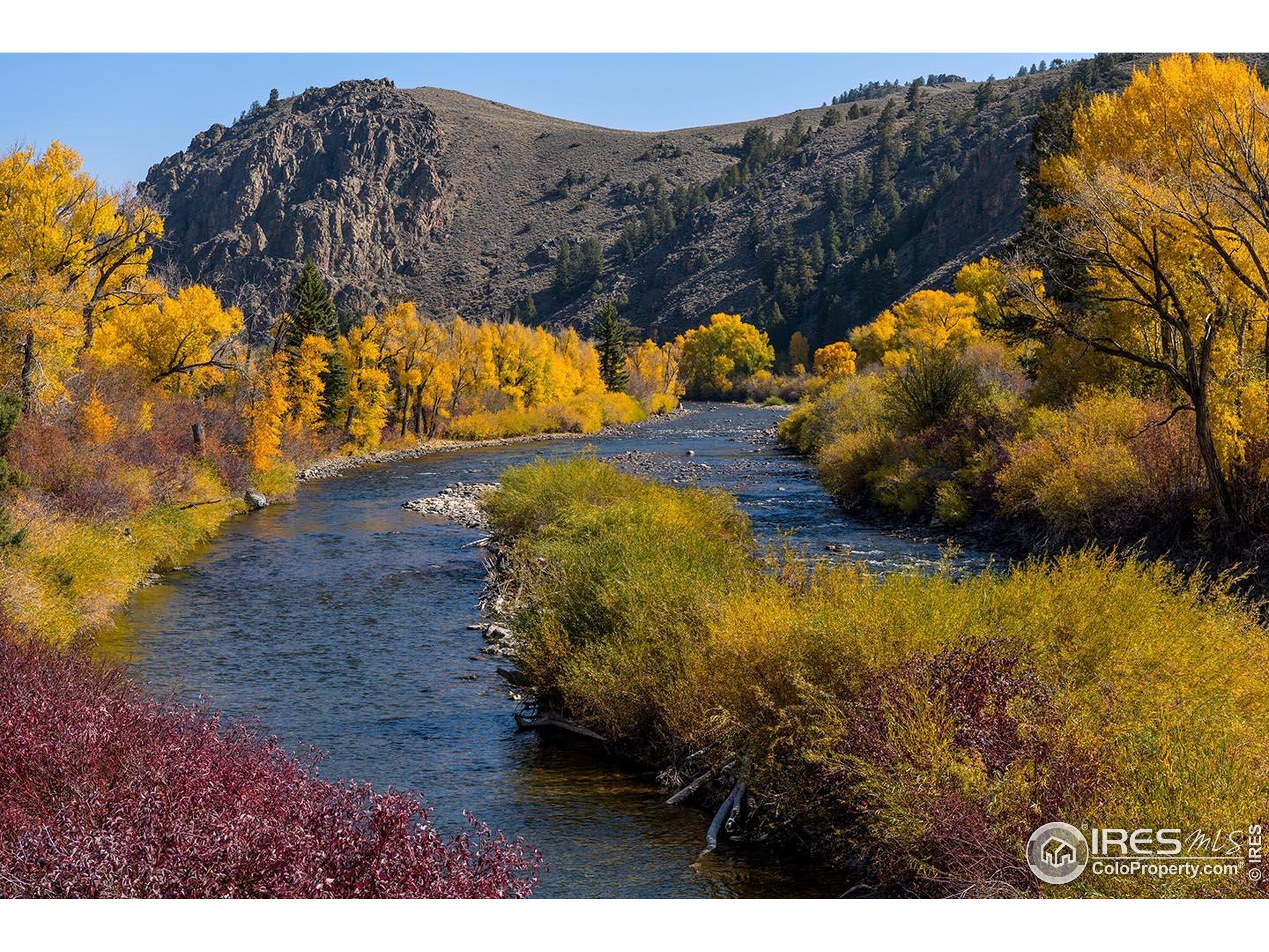 302 North Meldrum Street, Unit 313 Fort Collins, CO 80521 - Photo 31 of 36 a view of a yard