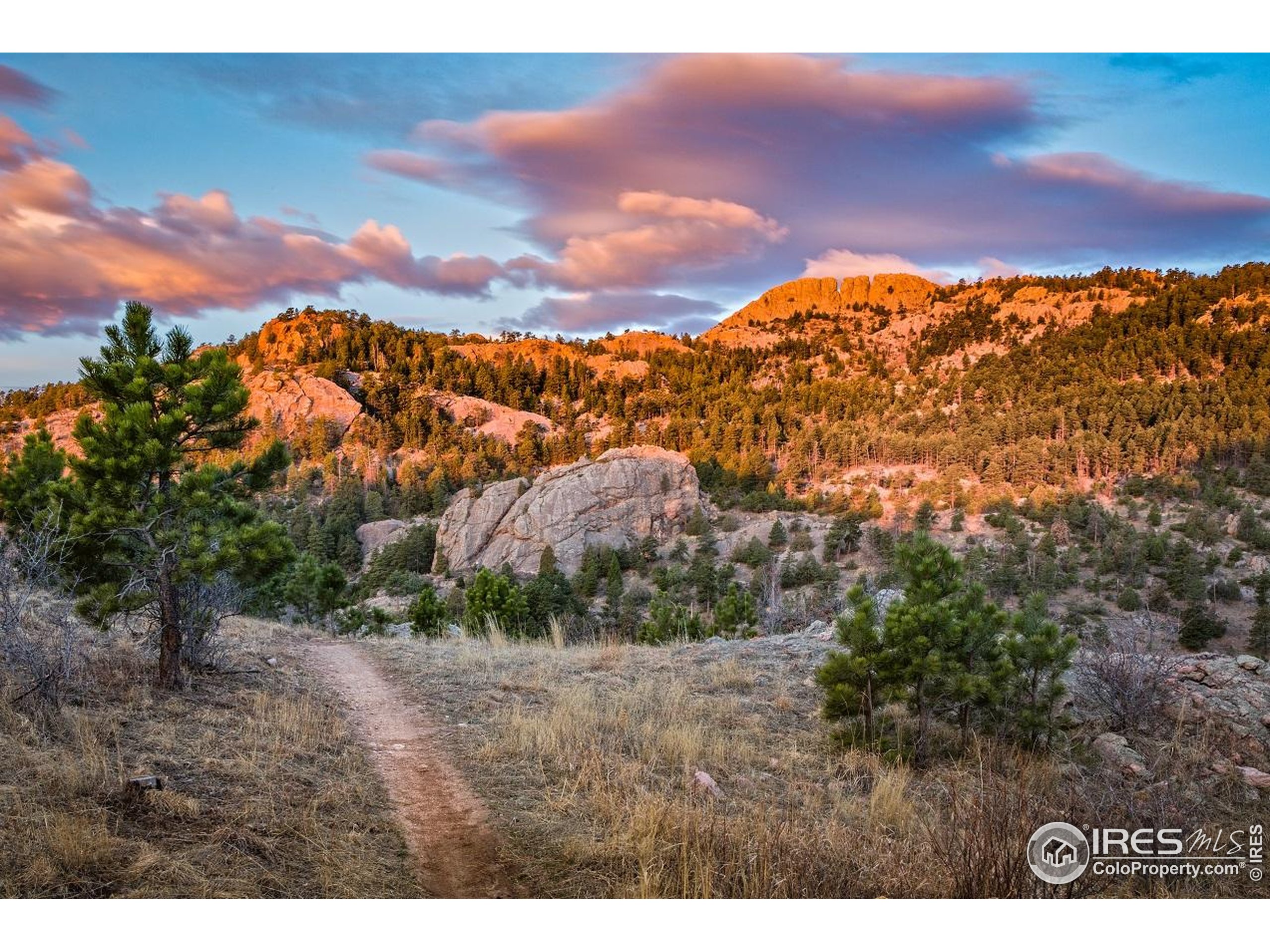 302 North Meldrum Street, Unit 313 Fort Collins, CO 80521 - Photo 33 of 36 a view of an outdoor space and mountain view
