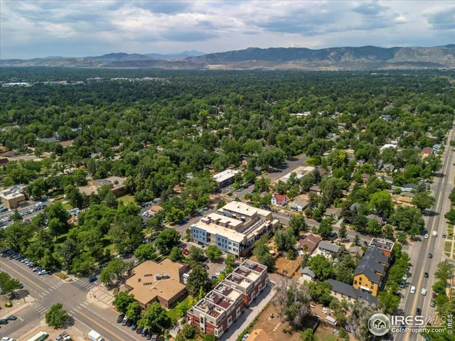an aerial view of city and covered with trees