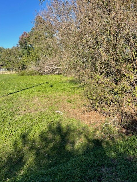 0 Cartersville Street Houston, TX 77029 - Photo 11 of 17 a view of a yard with an trees