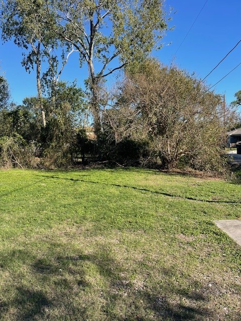 0 Cartersville Street Houston, TX 77029 - Photo 14 of 17 a view of field with trees in the background