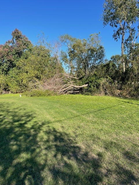0 Cartersville Street Houston, TX 77029 - Photo 15 of 17 a view of a grassy field with trees in the background