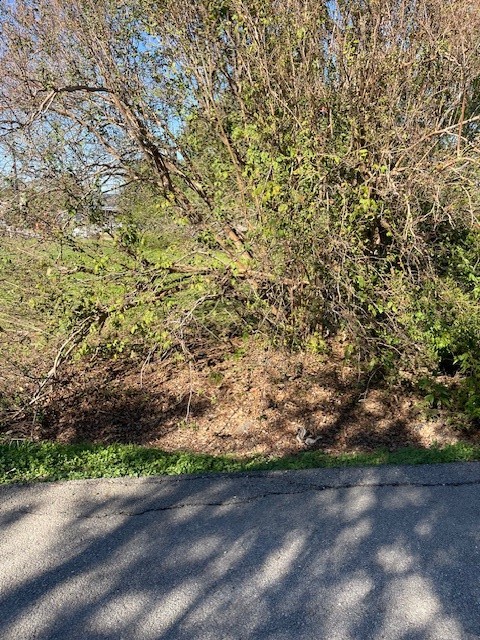 0 Cartersville Street Houston, TX 77029 - Photo 6 of 17 a view of a yard with a trees