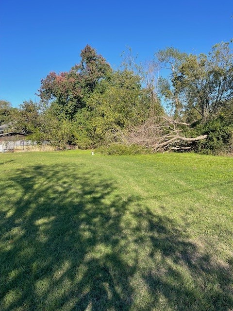 0 Cartersville Street Houston, TX 77029 - Photo 8 of 17 a view of a big yard with large trees