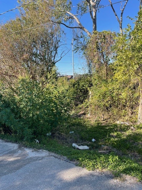 0 Cartersville Street Houston, TX 77029 - Photo 9 of 17 a view of a garden with pathway