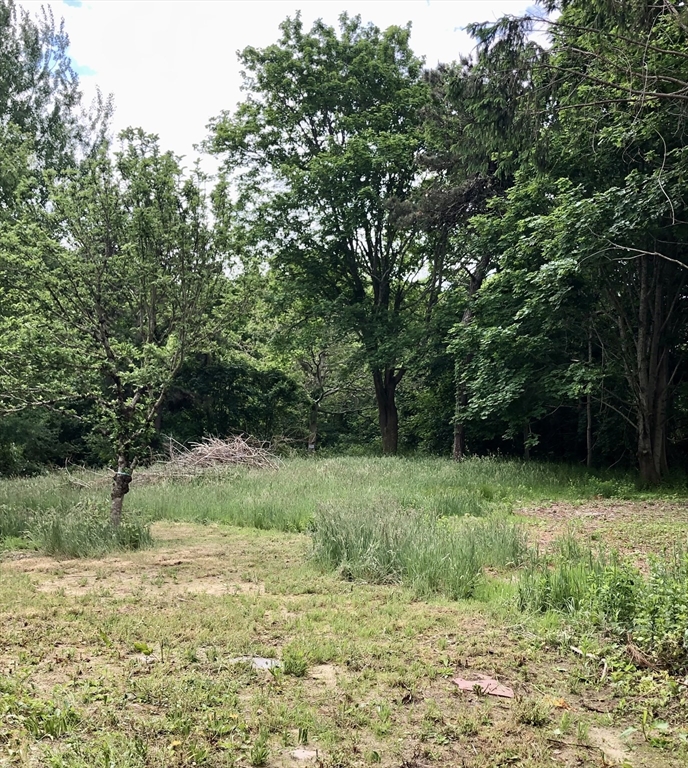 693 Orleans Road North Chatham, MA 02650 - Photo 37 of 41 a view of a field with a tree
