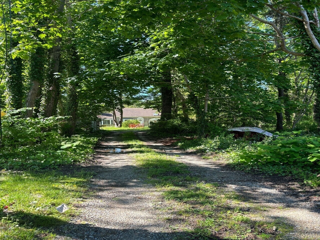 693 Orleans Road North Chatham, MA 02650 - Photo 5 of 41 a view of a back yard