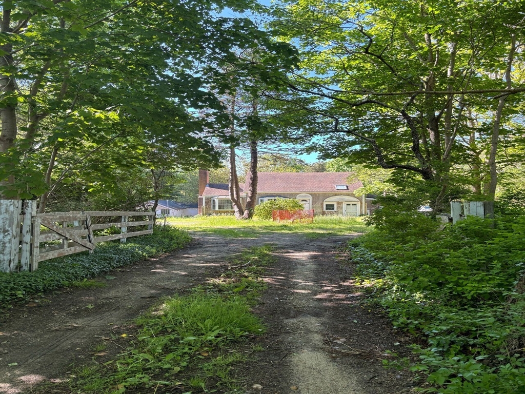 693 Orleans Road North Chatham, MA 02650 - Photo 6 of 41 a view of a park with large trees