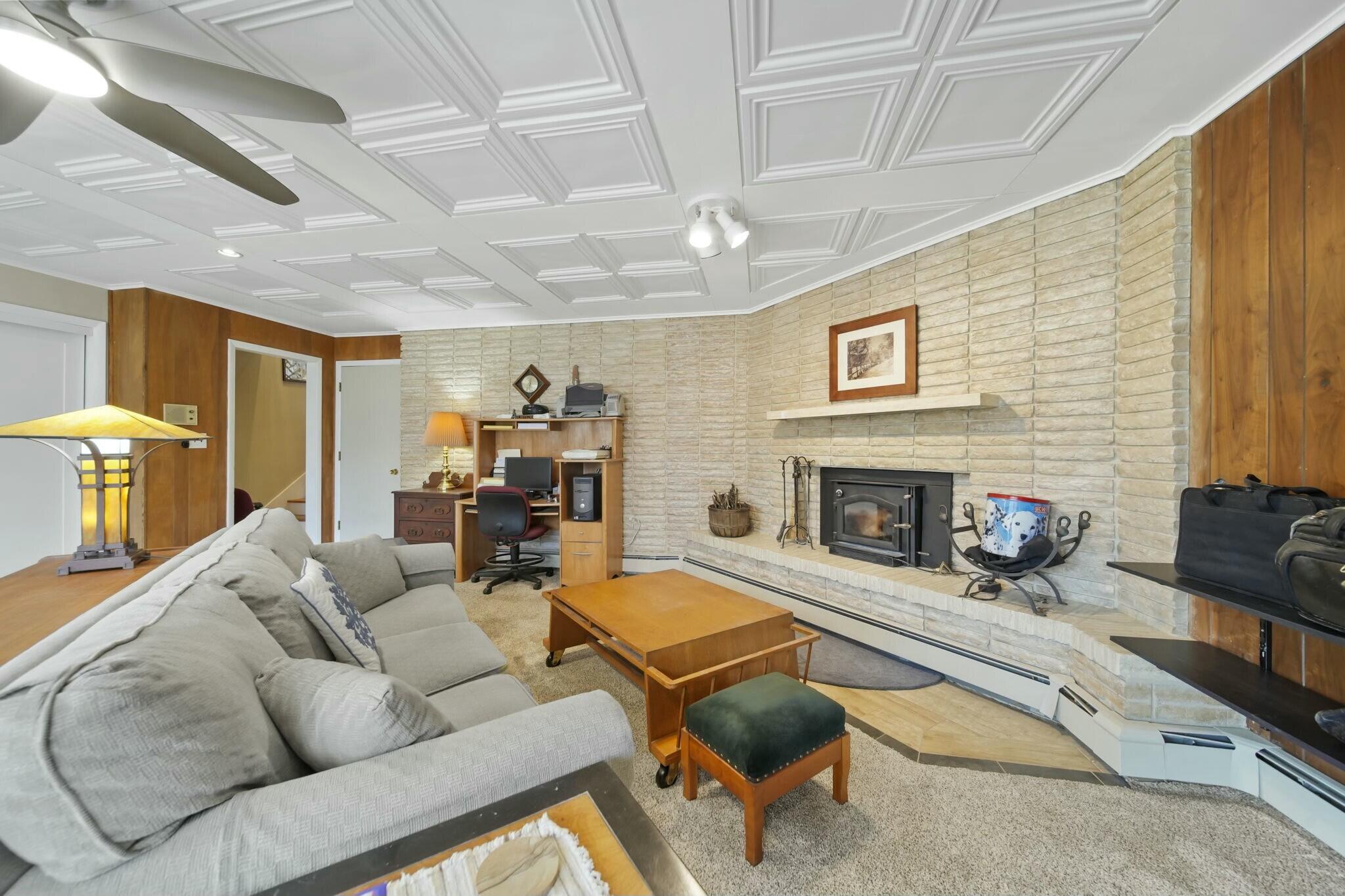 3811 Midberry Road Jackson, MI 49203 - Photo 30 of 48 Lower Level Wood Stove