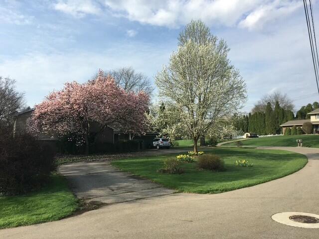 3811 Midberry Road Jackson, MI 49203 - Photo 4 of 48 tempImageMUZ2df