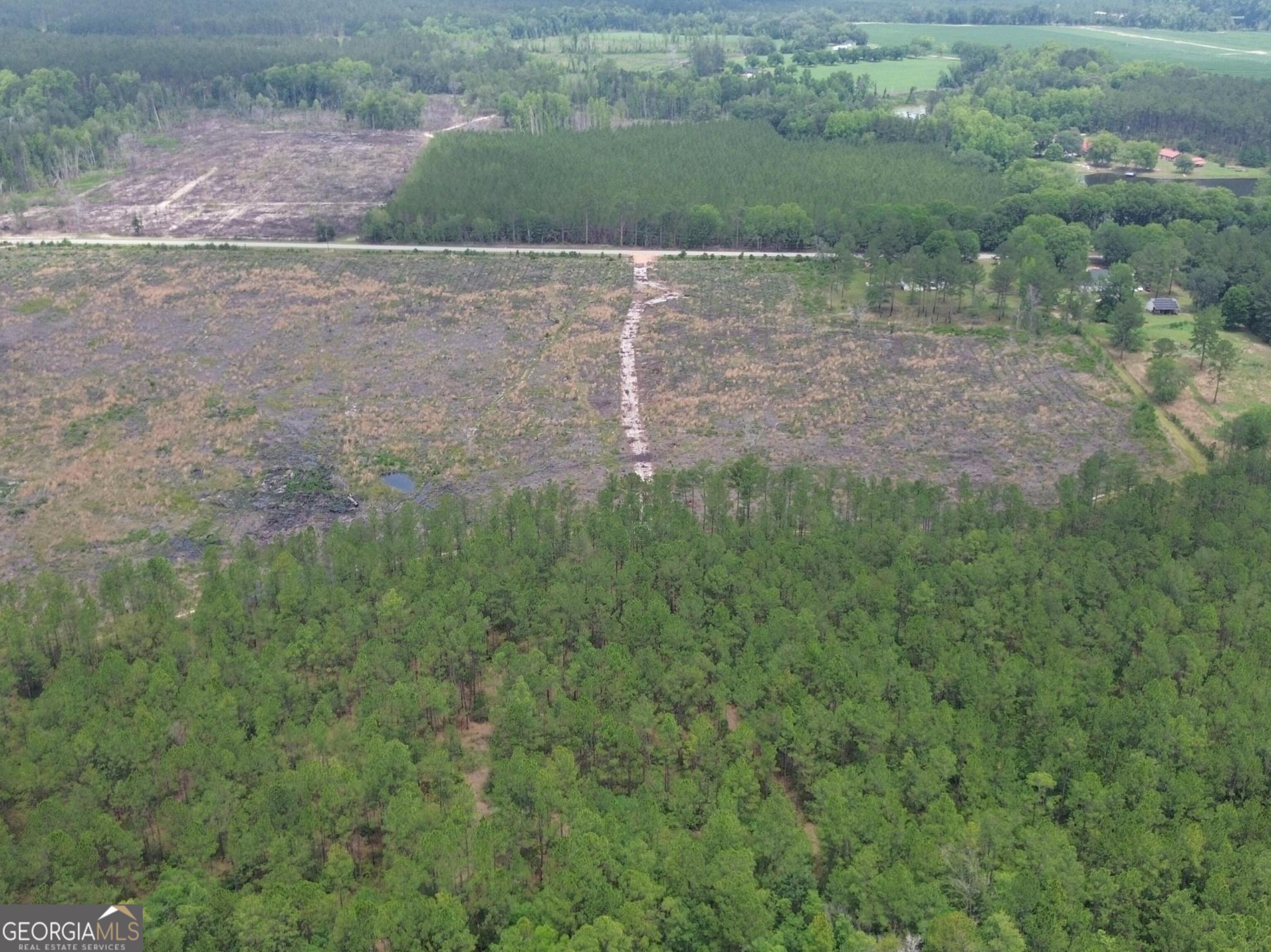 1 Bay Branch Church Road Claxton, GA 30417 - Photo 3 of 10