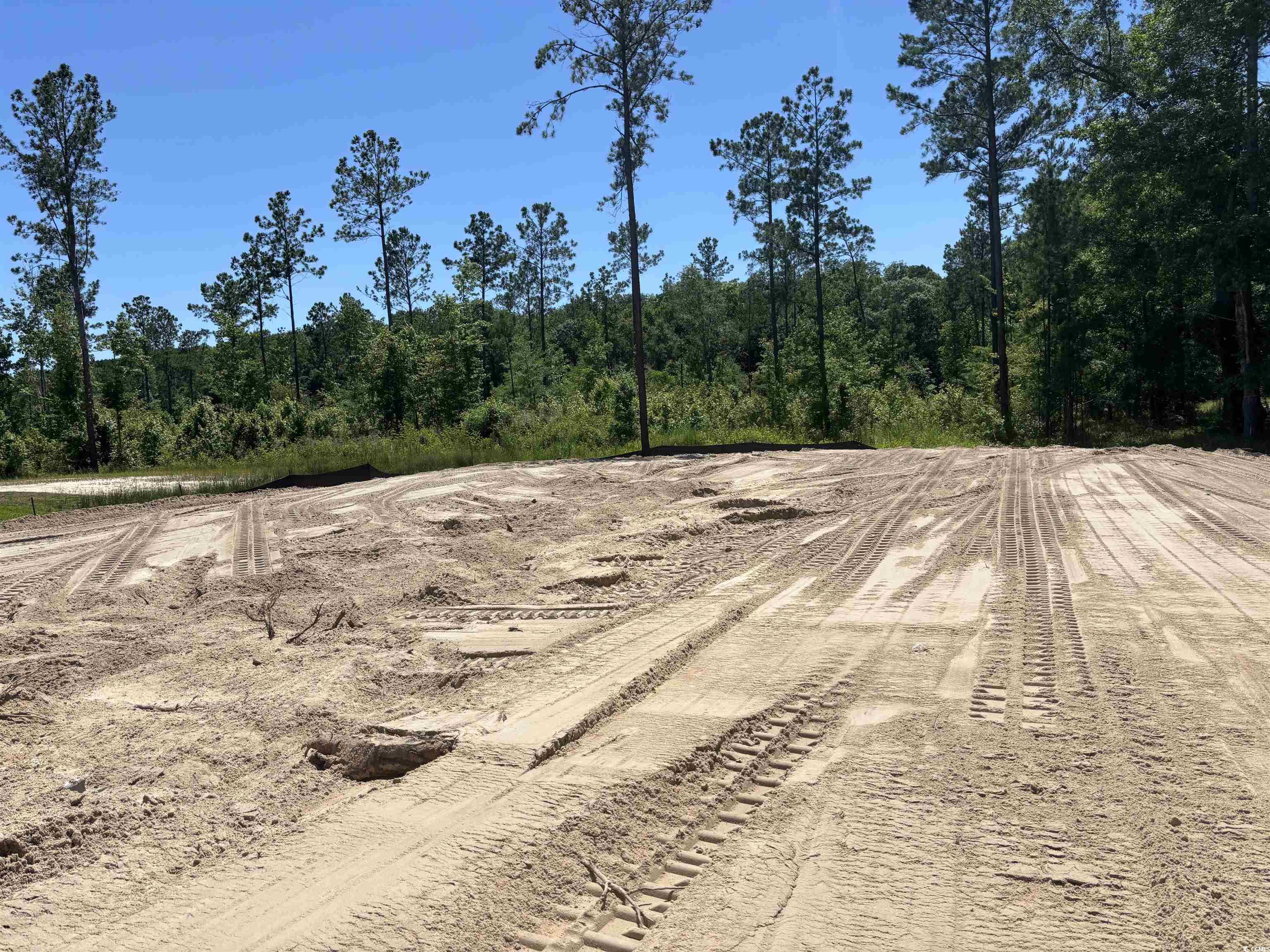8545 Pee Dee Highway Conway, SC 29527 - Photo 4 of 34 View of dirt / gravel road with a forest view
