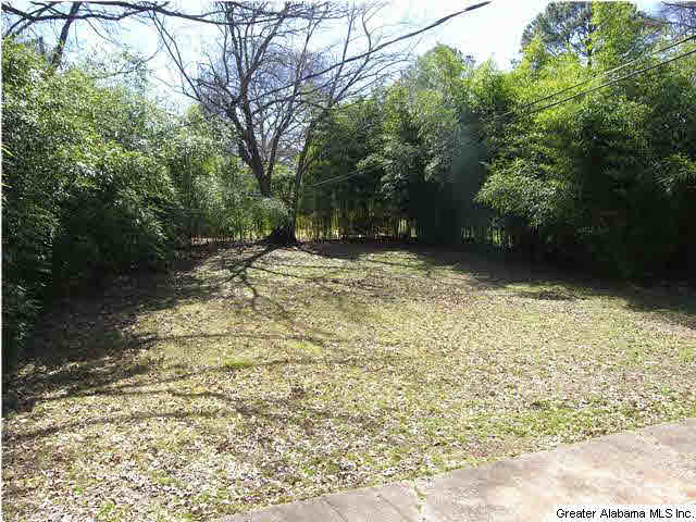 229 Raleigh Avenue Birmingham, AL 35209 - Photo 13 of 13
