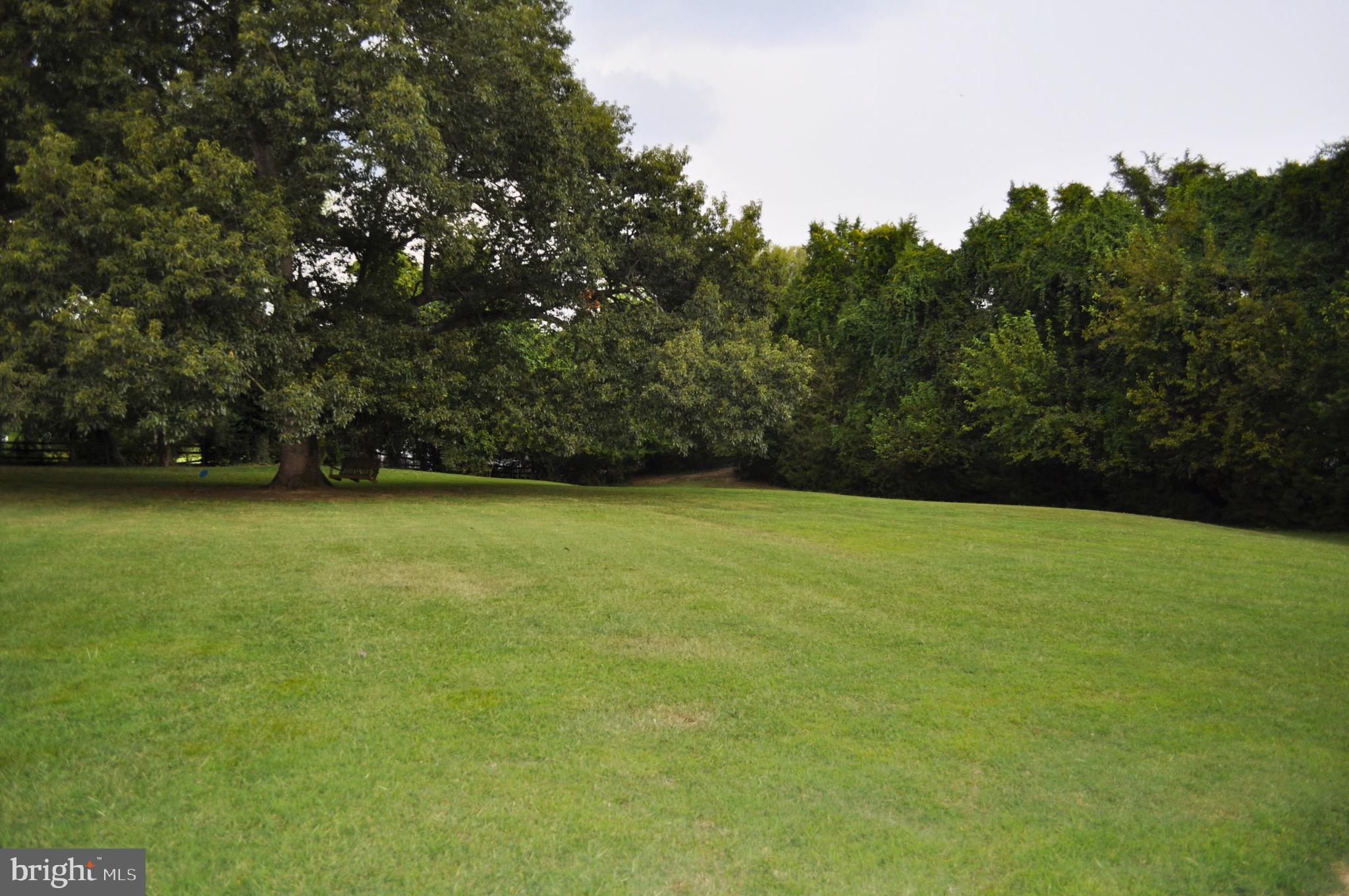 31569 Jim Davis Road Galena, MD 21635 - Photo 11 of 42 a view of outdoor space and yard