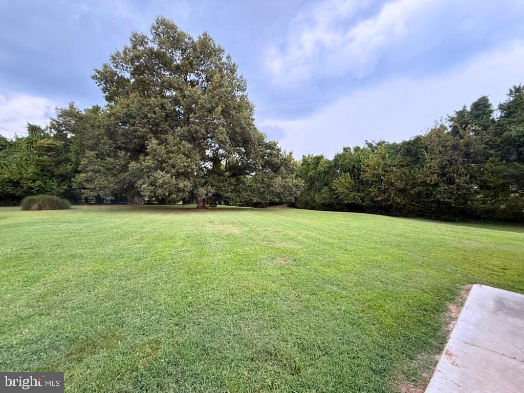 31569 Jim Davis Road Galena, MD 21635 - Photo 12 of 42 a view of a field of grass and trees