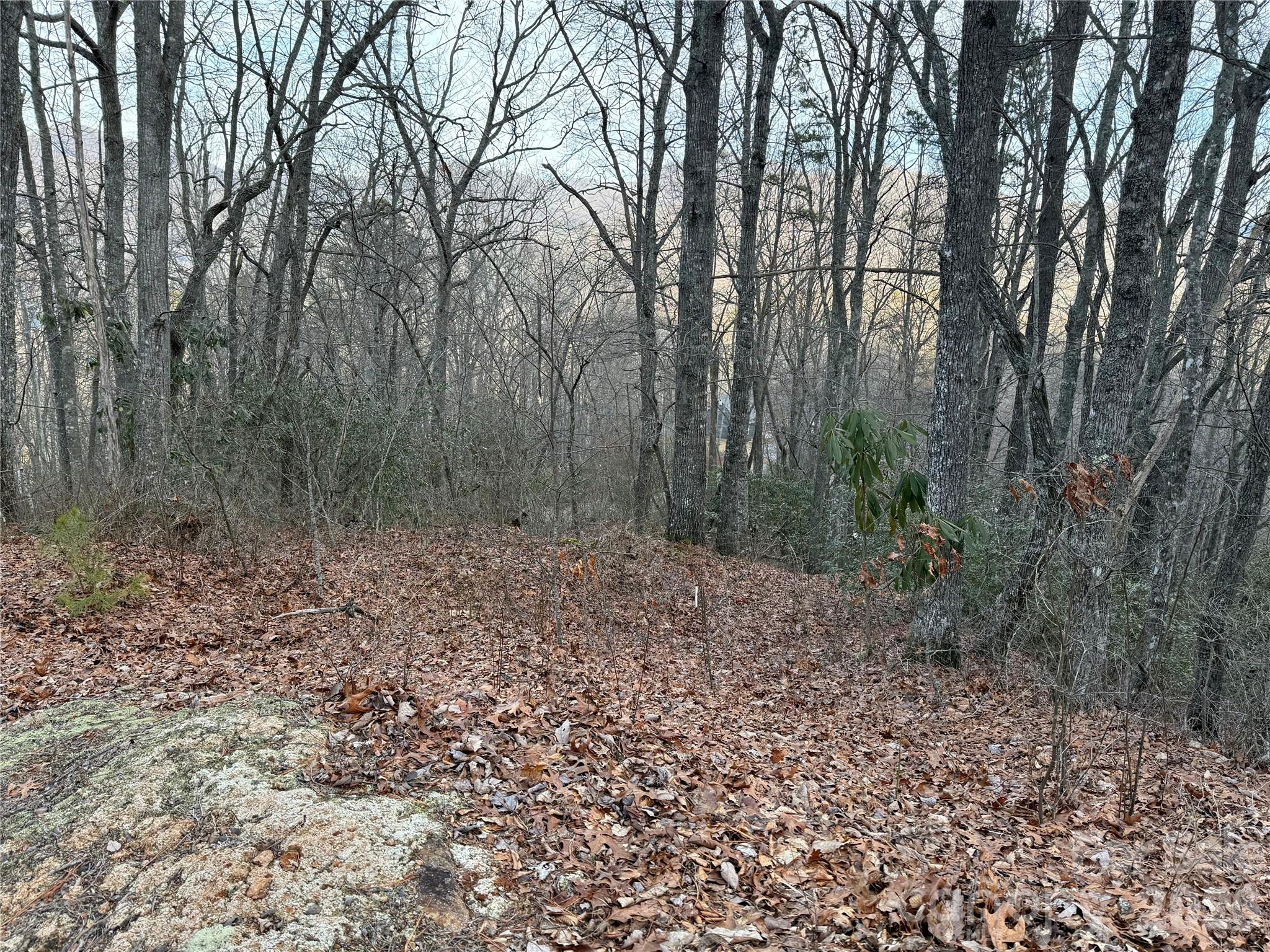 Lot 20 Vail Pass Road Whittier, NC 28789 - Photo 5 of 9