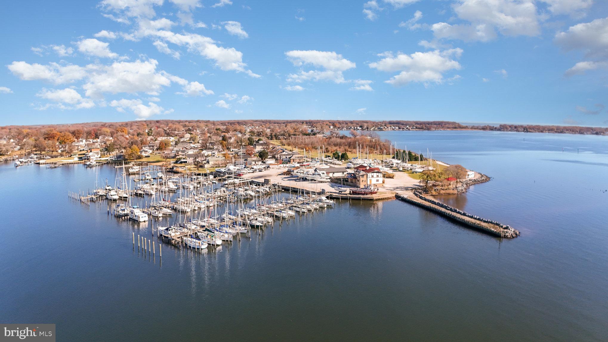 7316 Hughes Avenue Baltimore, MD 21219 - Photo 40 of 43 a view of a terrace with lake view and boat
