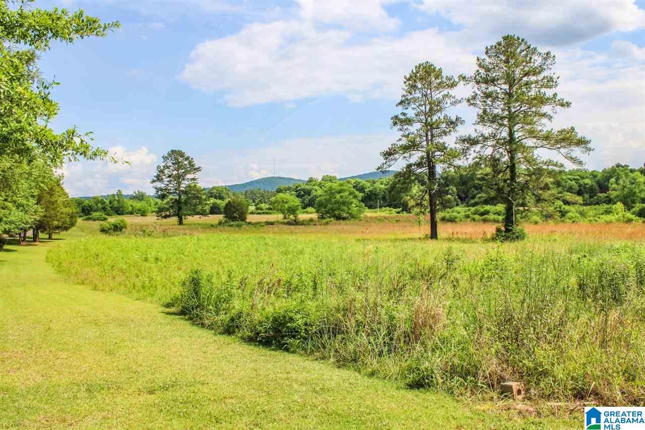 179 New Lincoln Road Talladega, AL 35160 - Photo 43 of 50