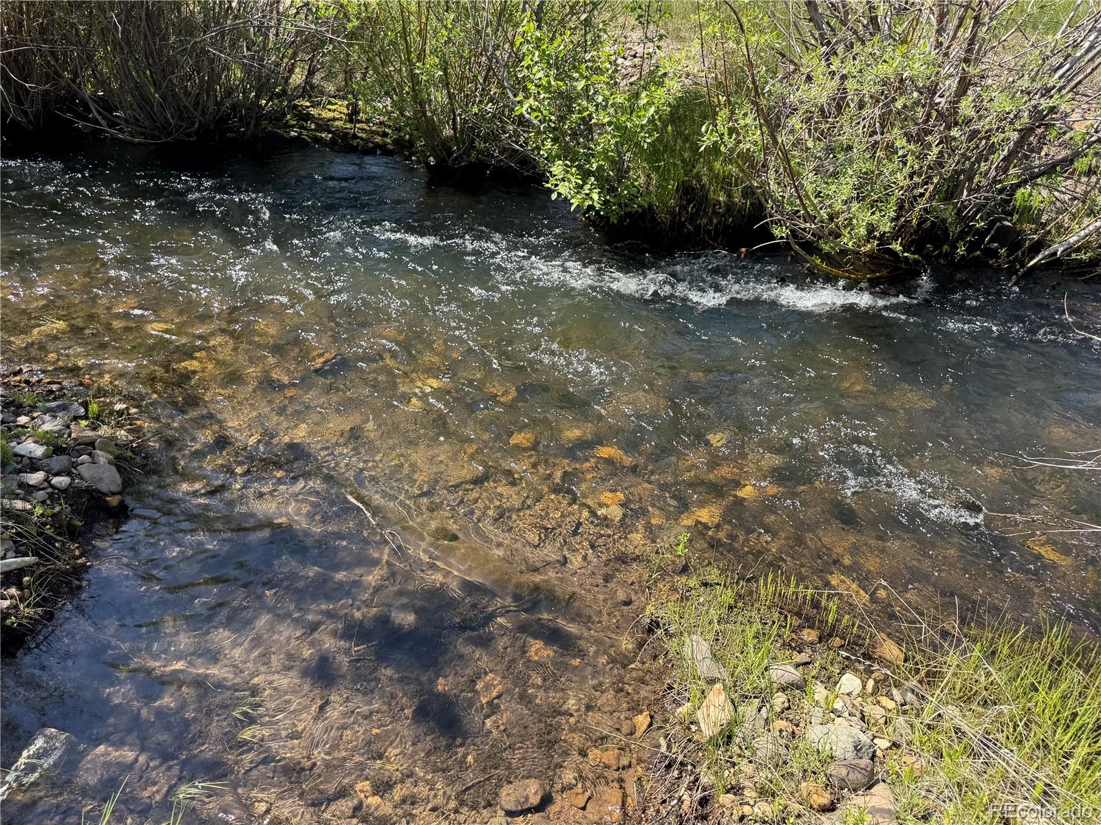 50002 County Rd LL56 Villa Grove, CO 81155 - Photo 15 of 40 a view of a yard with plants and trees