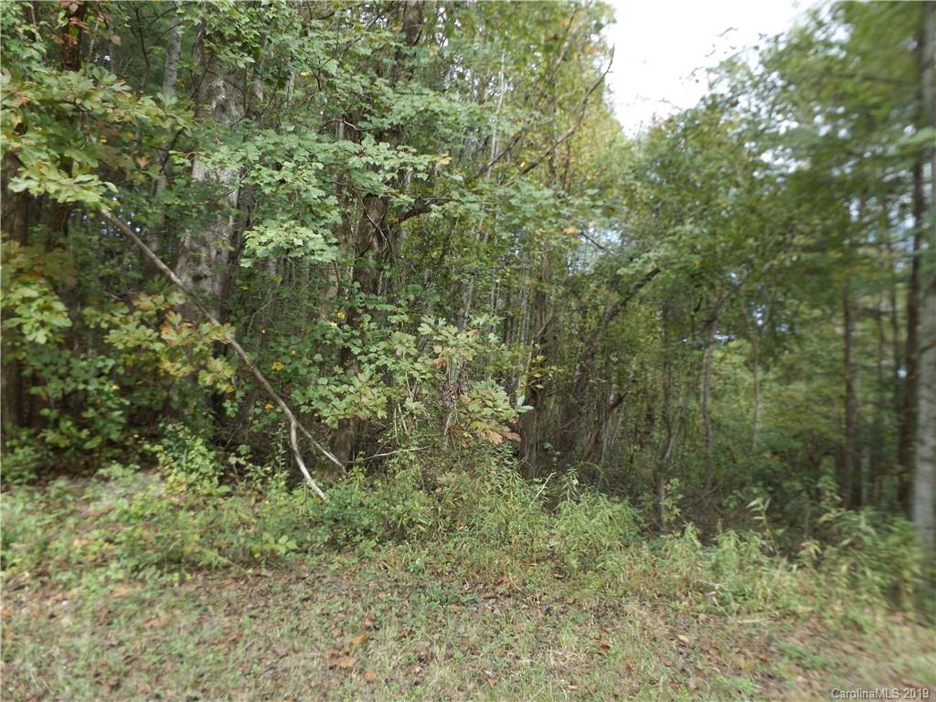 9 Long Ridge Road Candler, NC 28715 - Photo 11 of 20 Gallery Image 11