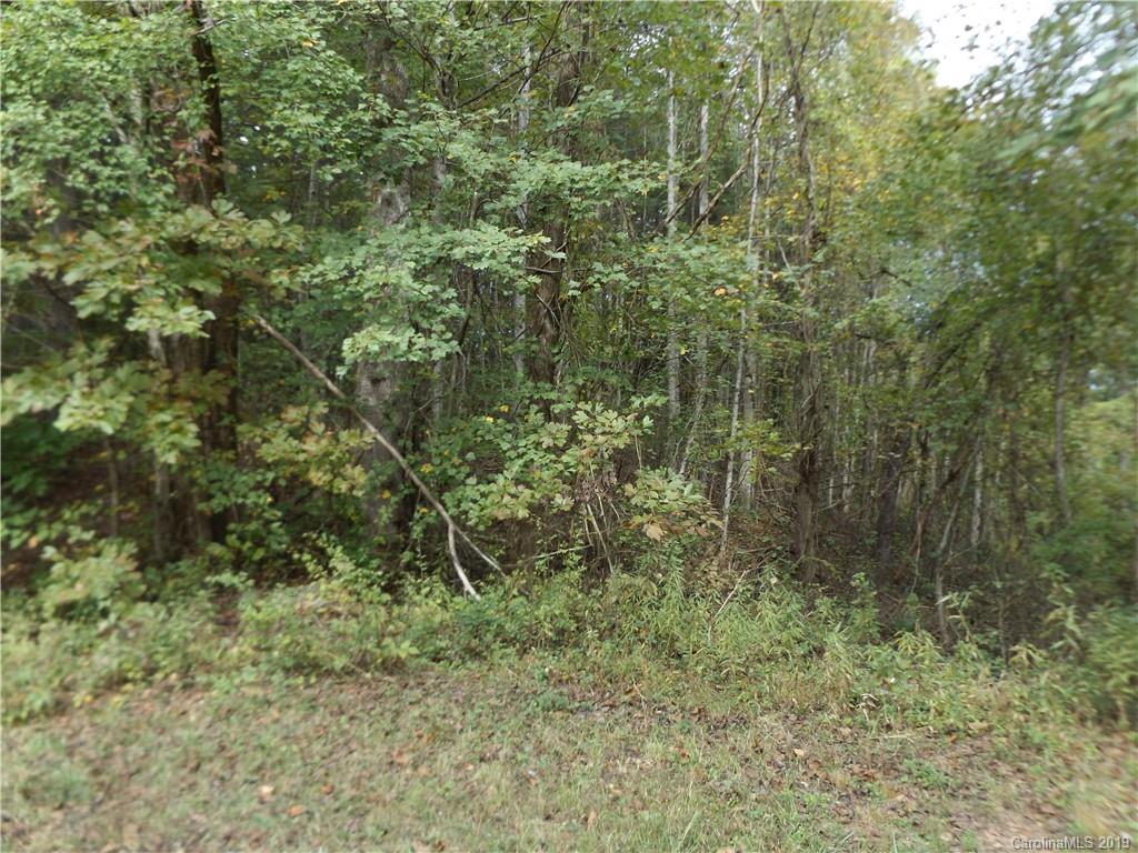 9 Long Ridge Road Candler, NC 28715 - Photo 12 of 20 Gallery Image 12