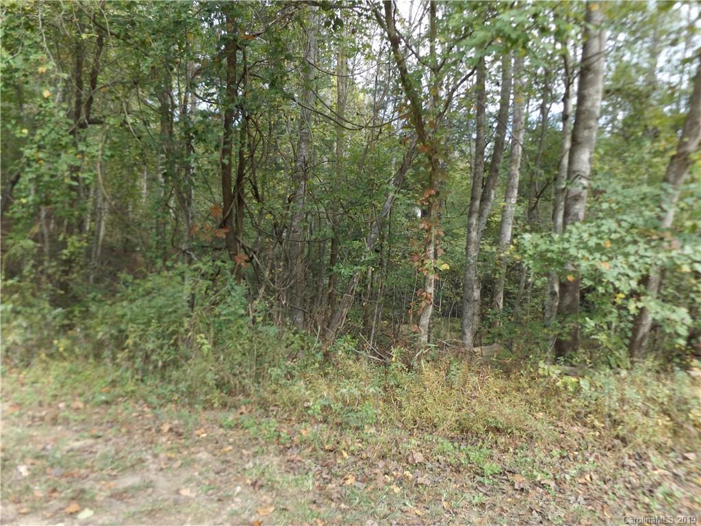 9 Long Ridge Road Candler, NC 28715 - Photo 13 of 20 Gallery Image 13