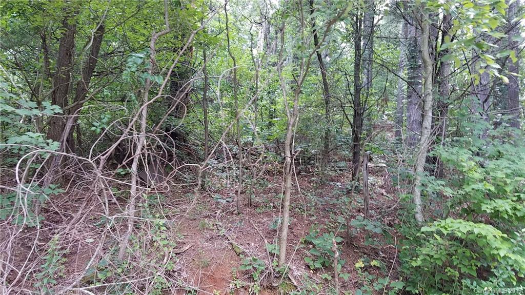 9 Long Ridge Road Candler, NC 28715 - Photo 17 of 20 Gallery Image 17