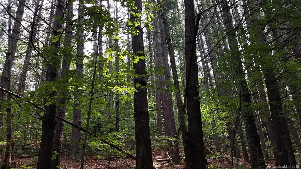 9 Long Ridge Road Candler, NC 28715 - Photo 18 of 20 Gallery Image 18