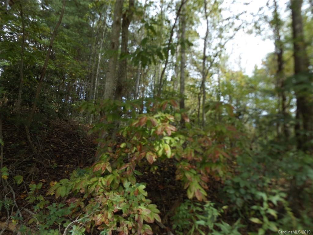 9 Long Ridge Road Candler, NC 28715 - Photo 9 of 20 Gallery Image 9