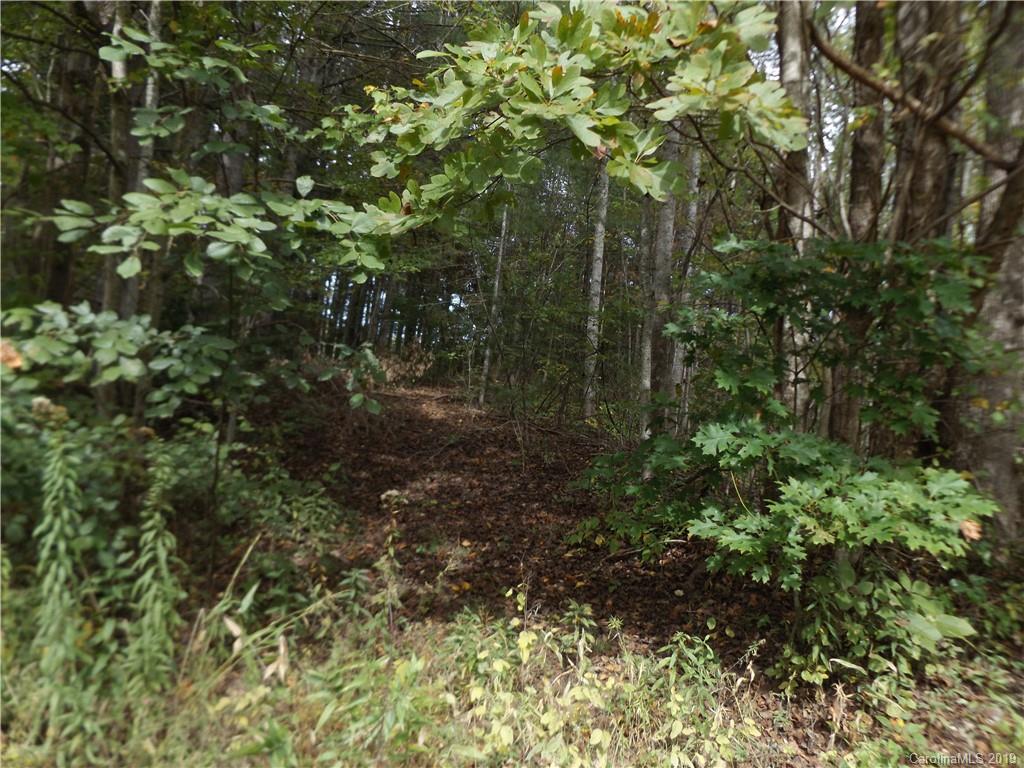 9 Long Ridge Road Candler, NC 28715 - Photo 10 of 20 Gallery Image 10