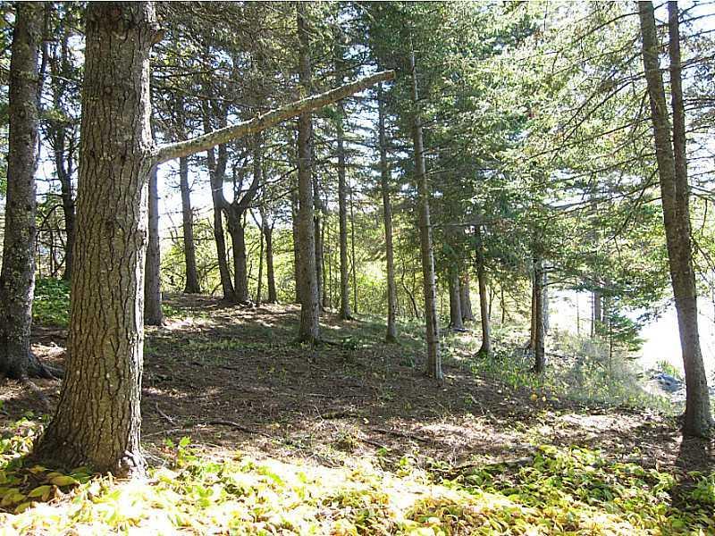 9 Hardy Point Road Pembroke, ME 04666 - Photo 16 of 19 Yard/Garden. Rear yard wooded but...