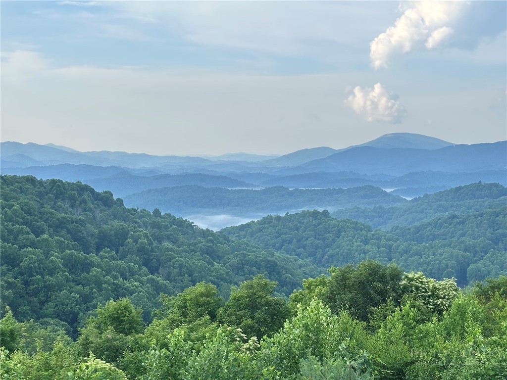 1074 Ridge Haven Parkway, Unit RX6 Banner Elk, NC 28604 - Photo 39 of 50 Gallery Image 39