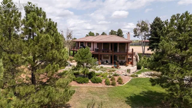 a view of a tree with plants and next to house