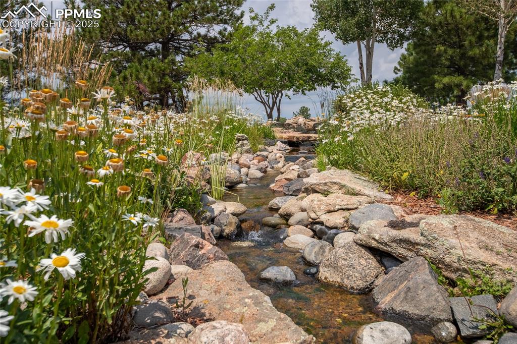 11771 East Smith Road Elbert, CO 80106 - Photo 13 of 35 a view of a tree with plants and next to house