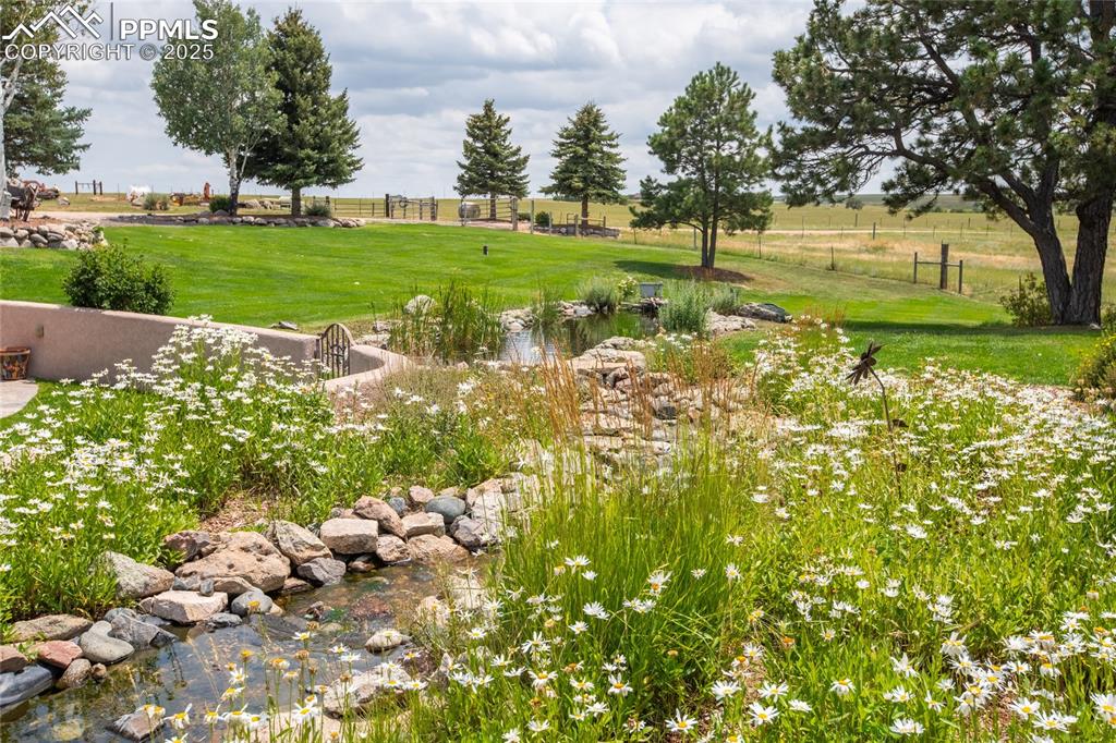 11771 East Smith Road Elbert, CO 80106 - Photo 15 of 35 a view of backyard with green space