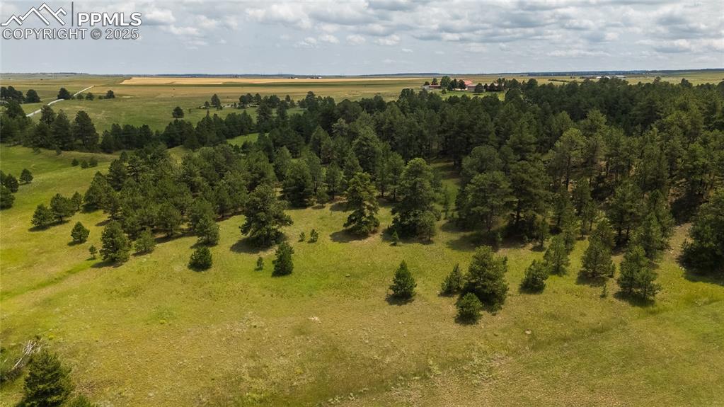11771 East Smith Road Elbert, CO 80106 - Photo 2 of 35 a view of a yard with an outdoor space and seating area