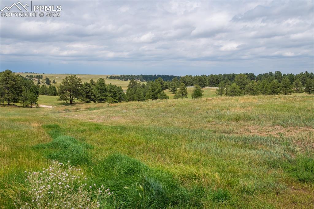 11771 East Smith Road Elbert, CO 80106 - Photo 23 of 35 a view of a field with an ocean and covered mountain view