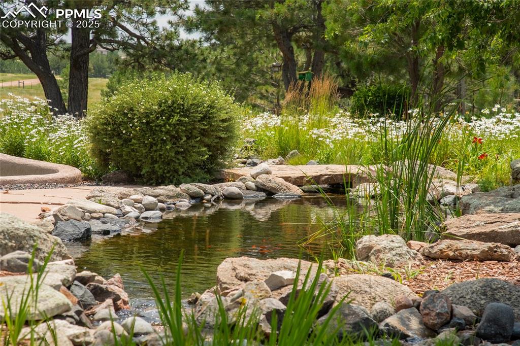 11771 East Smith Road Elbert, CO 80106 - Photo 4 of 35