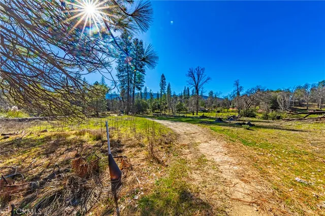 a view of yard with swimming pool and trees