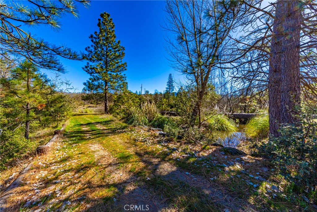 -4.53 Ac Wortham Road Oakhurst, CA 93644 - Photo 12 of 19 a view of a yard