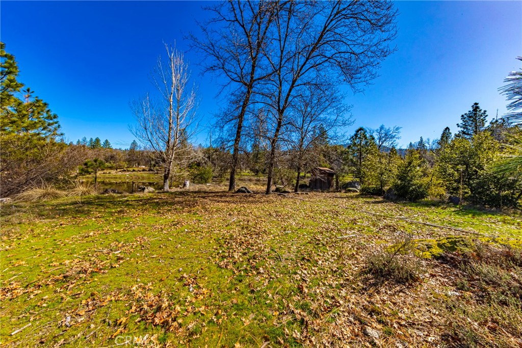 -4.53 Ac Wortham Road Oakhurst, CA 93644 - Photo 15 of 19 a view of yard covered with snow in outdoor space