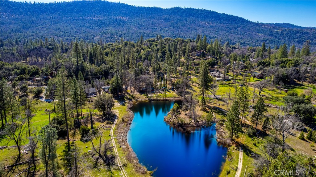 -4.53 Ac Wortham Road Oakhurst, CA 93644 - Photo 19 of 19 a view of a lake in middle of the forest