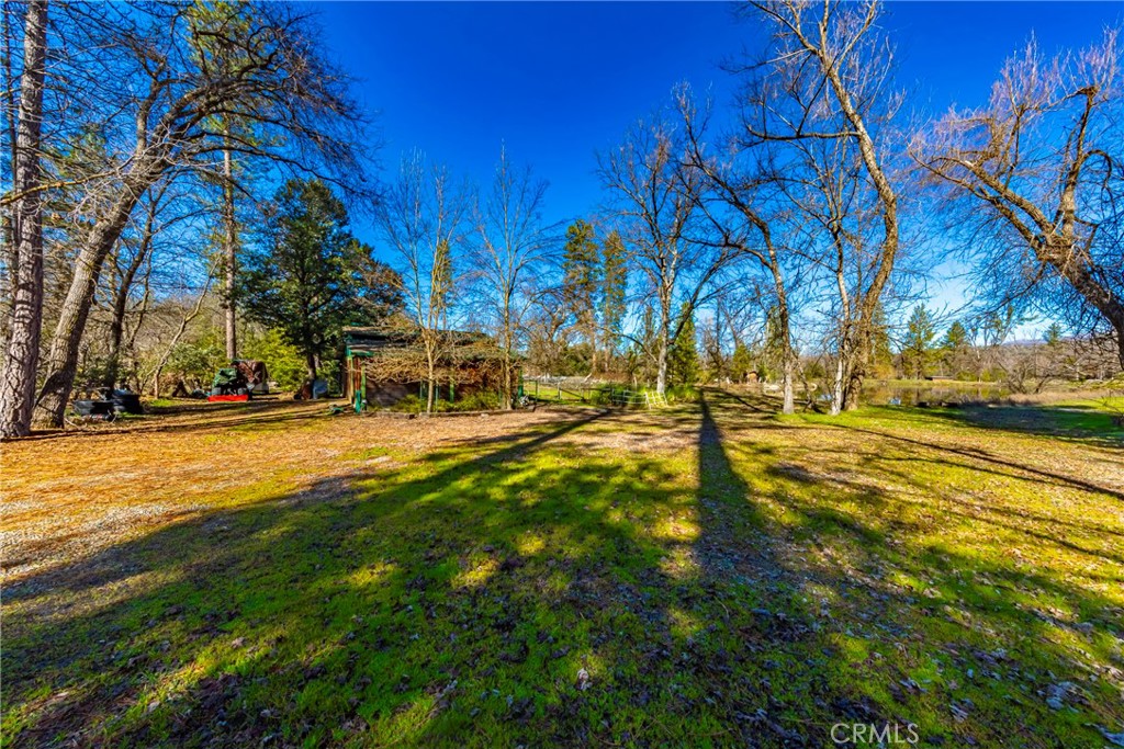 -4.53 Ac Wortham Road Oakhurst, CA 93644 - Photo 5 of 19 a view of yard with swimming pool