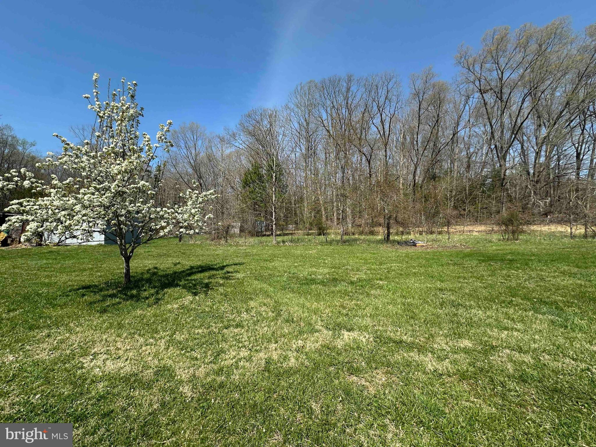 7933 Keech Road Hughesville, MD 20637 - Photo 20 of 21 backyard